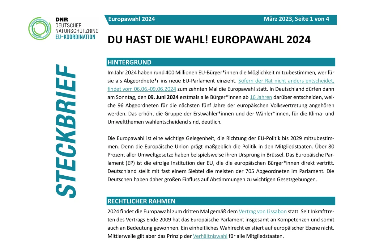 Steckbrief zur Euroawahl 2024